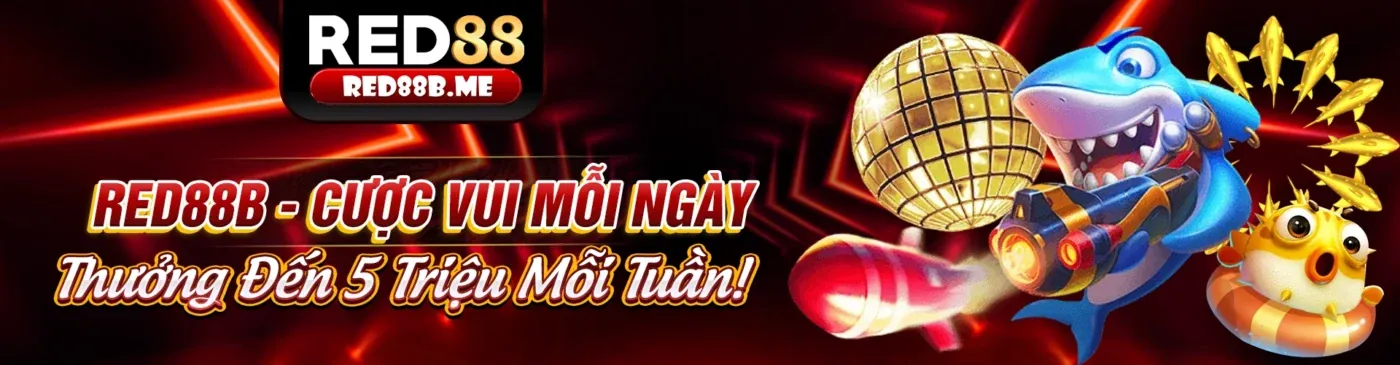 Hướng dẫn okchoi khuyến mãi cho người mới bắt đầu